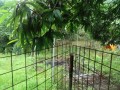 IMG_20260705_083041