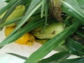 IMG_20260705_102852