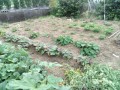 IMG_20260705_183030
