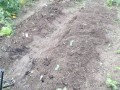 IMG_20260705_183033