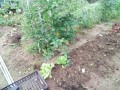 IMG_20260705_183035