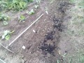 IMG_20260705_183051