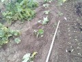 IMG_20260705_183055