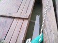 IMG_20260706_063221