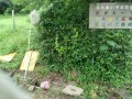 IMG_20260706_063227