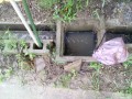 IMG_20260706_063232
