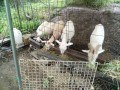 IMG_20260706_063653