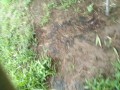 IMG_20260706_063655