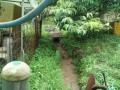 IMG_20260706_063704