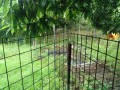 IMG_20260706_063723