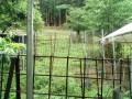 IMG_20260706_063733