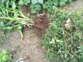 IMG_20260706_184210