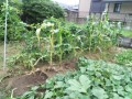 IMG_20260706_184212