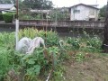IMG_20260706_184237