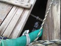 IMG_20260707_085341