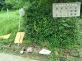 IMG_20260707_085351