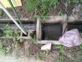 IMG_20260707_085357
