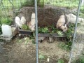 IMG_20260707_090120