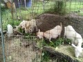 IMG_20260707_090128