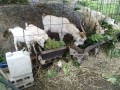 IMG_20260707_090137