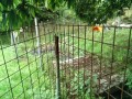 IMG_20260707_090158