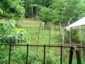 IMG_20260707_090216