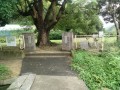 IMG_20260707_094438