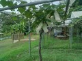 IMG_20260707_183231