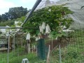 IMG_20260707_183234