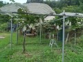 IMG_20260707_183243