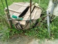 IMG_20260708_090541