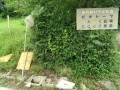 IMG_20260708_090546