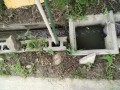 IMG_20260708_090552