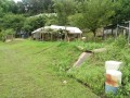 IMG_20260708_090708