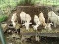 IMG_20260708_092649