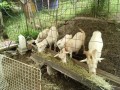 IMG_20260708_092654