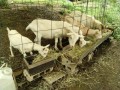 IMG_20260708_092704