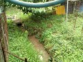 IMG_20260708_092708