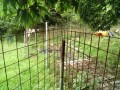 IMG_20260708_092722