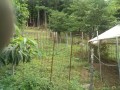 IMG_20260708_092730