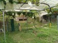 IMG_20260708_102003