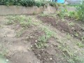 IMG_20260708_113142
