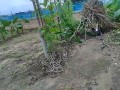 IMG_20260708_113146