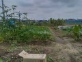 IMG_20260708_113149