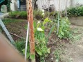 IMG_20260708_120929