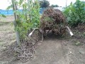 IMG_20260708_122643