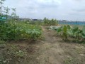 IMG_20260708_122646
