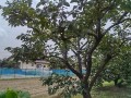 IMG_20260708_122731
