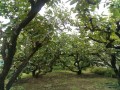 IMG_20260708_122737