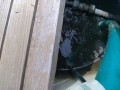 IMG_20260709_093027